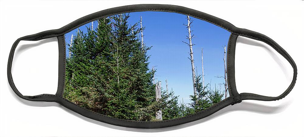 Balsam Woolly Adelgid Face Mask featuring the photograph Mountain Pines by Phil Perkins