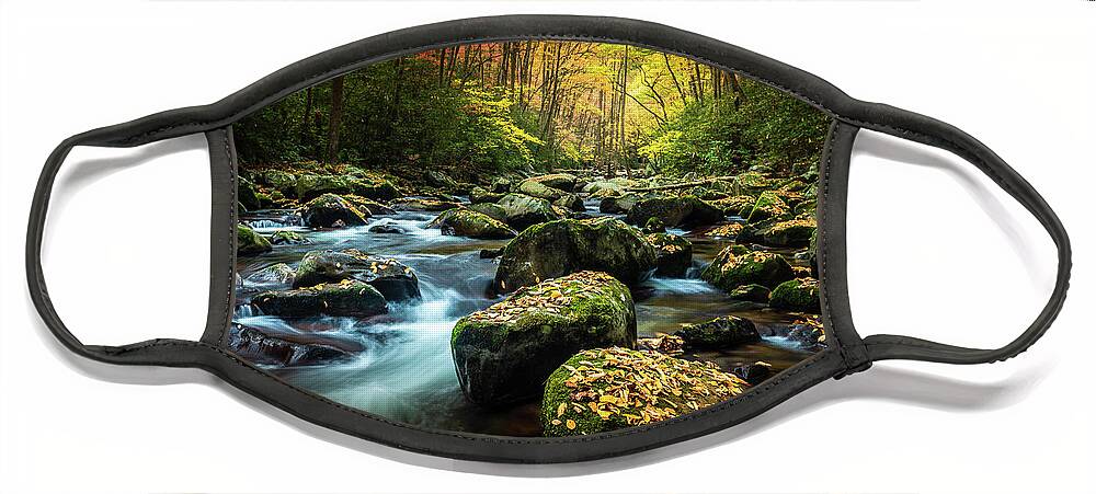 Big Creek Face Mask featuring the photograph Mountain Streams by Darrell DeRosia