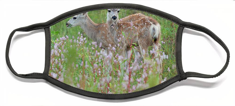 Mule Face Mask featuring the photograph Mule Deer Twins by Gary Langley