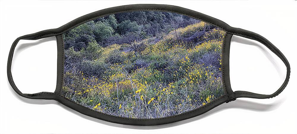 Mulholland Scenic Overlook Hike Face Mask featuring the photograph Mulholland Scenic Overlook Hike 08 by Jera Sky