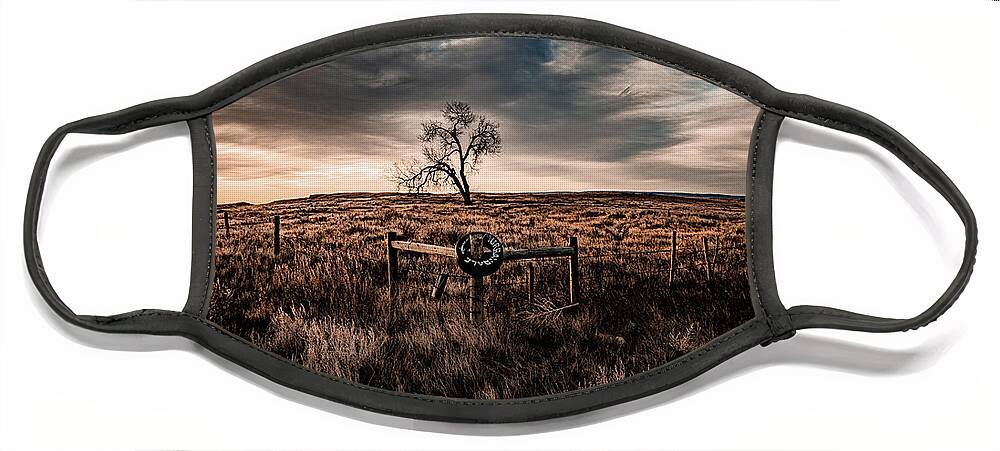 Prairie Face Mask featuring the photograph Murray Tree by Darcy Dietrich