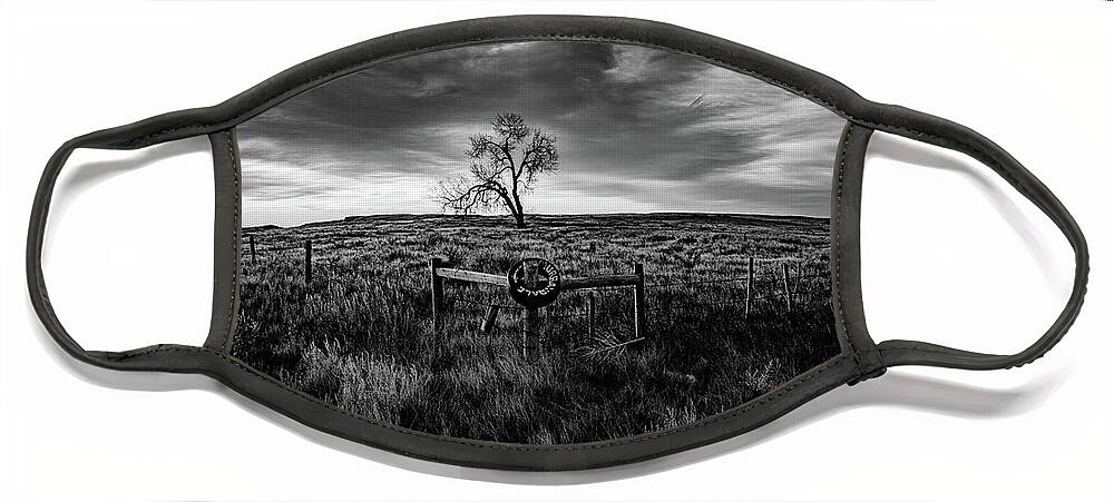  Face Mask featuring the photograph Murray Tree Monochrome by Darcy Dietrich