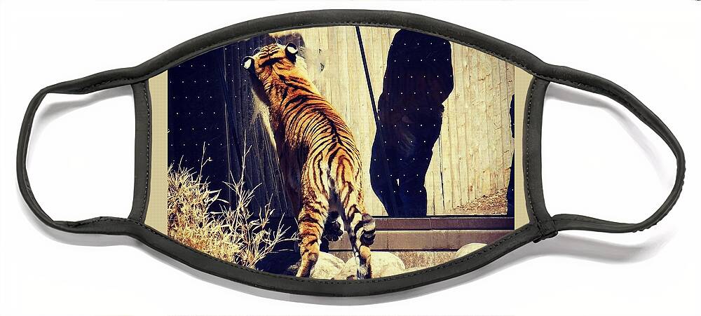 Tiger Face Mask featuring the photograph My Shadow by Judy Stepanian