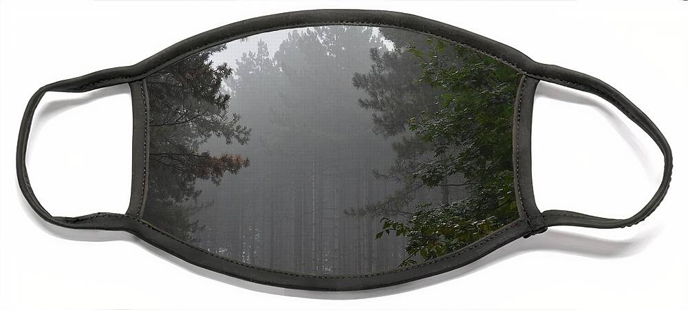 Forest Face Mask featuring the photograph Mystical Forest In The Fog 02 by Leonida Arte
