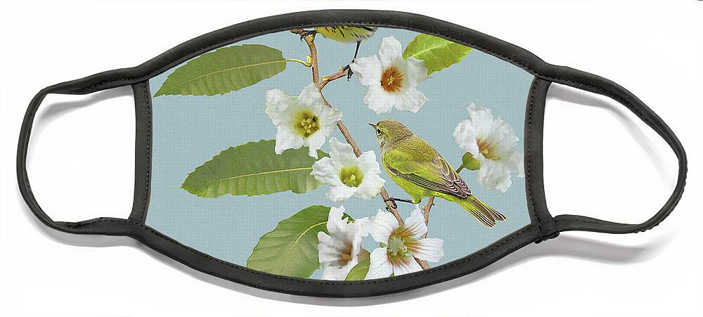 Birds Face Mask featuring the digital art   Nashville Warblers in Chestnut Tree by M Spadecaller