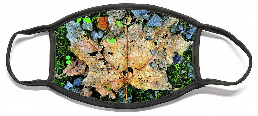 Leaf Face Mask featuring the photograph Natural Assimilation-VI by Patricia Overmoyer