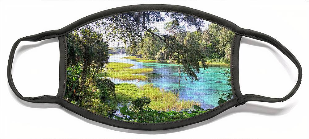 Florida Face Mask featuring the photograph Natural Springs by Alison Belsan Horton