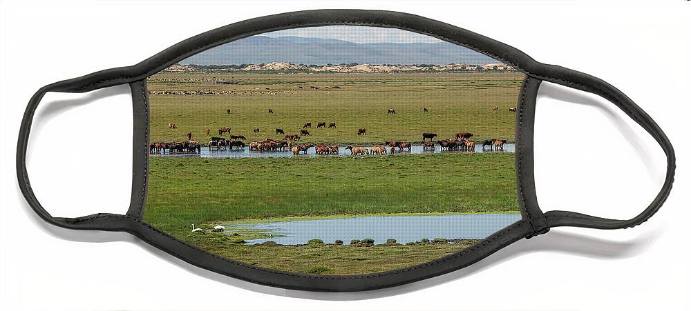 Herders Lifestyle Face Mask featuring the photograph Nature Mongolia by Bat-Erdene Baasansuren