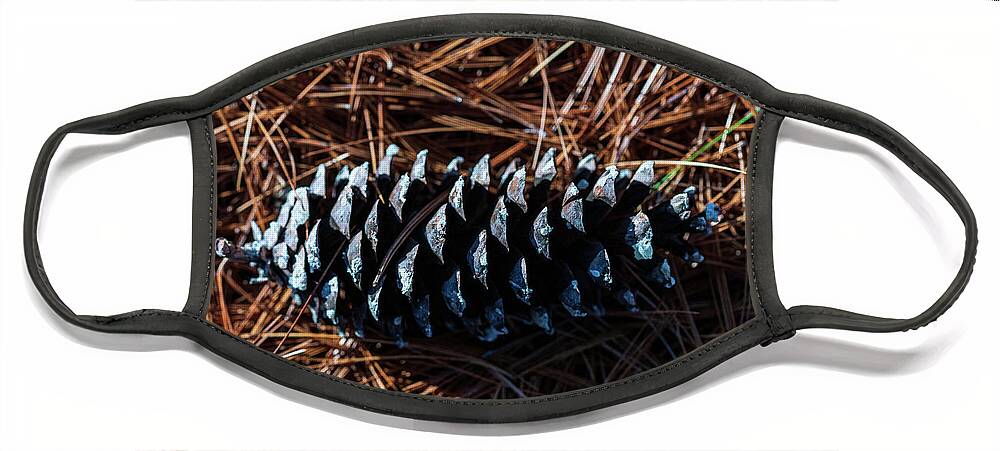 Nature Face Mask featuring the photograph Nature Photography - Pine Cone 2 by Amelia Pearn