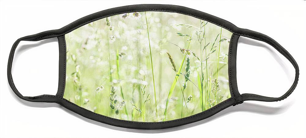 Plants Face Mask featuring the photograph Nature Photography - Summer Field by Amelia Pearn