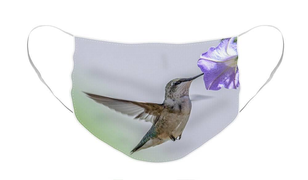 Bird Face Mask featuring the photograph Nectar Time by Paul Vitko