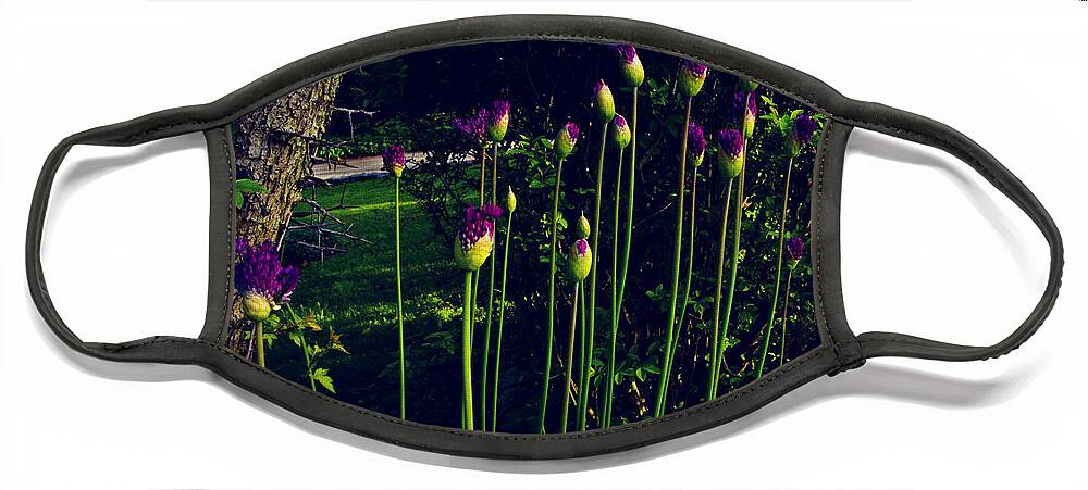 Nature Face Mask featuring the photograph Neighborhood Flowers at Dusk in the Sunlight by Frank J Casella