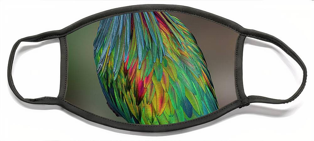 Nicobar Pigeon Face Mask featuring the photograph Nicobar Pigeon- Don't mess with me. by Penny Lisowski