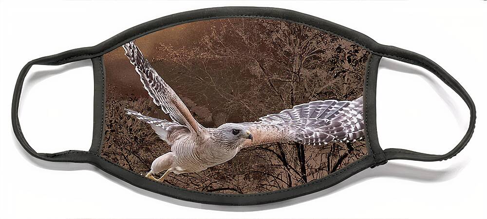 Bird Face Mask featuring the photograph Night Hawk by Shara Abel