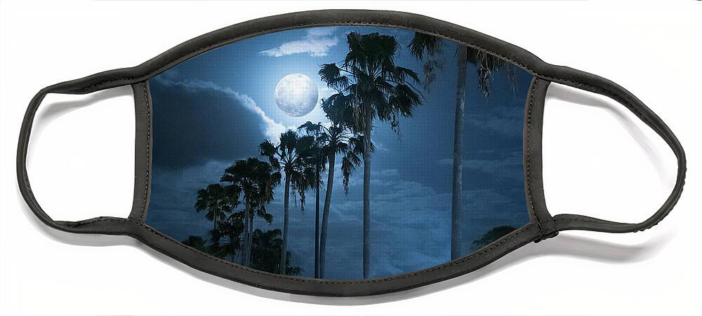 Palm Trees Face Mask featuring the photograph Night Palms and Super Moon by Laura Fasulo