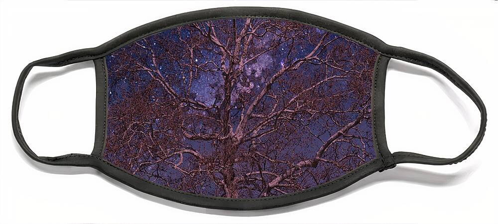 Tree Face Mask featuring the photograph Night Sky Tree by Russ Considine