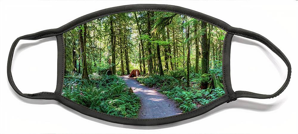 Trees And Forests Face Mask featuring the photograph North Loop Trail by Larey McDaniel