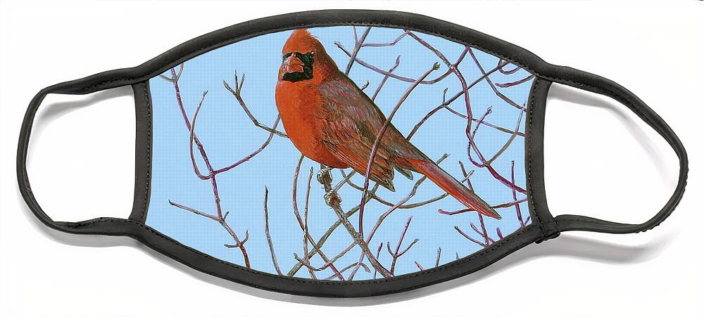 Cardinal Face Mask featuring the painting Northern Cardinal in Red Osier by Barry Kent MacKay