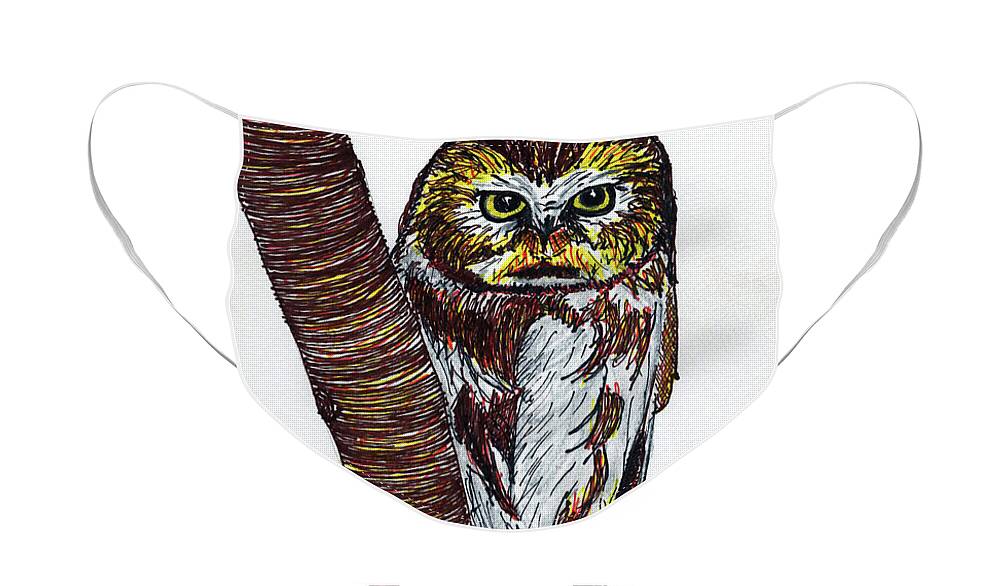 Saw-whet Owl Face Mask featuring the drawing Northern SawWhet Owl by Mary Capriole