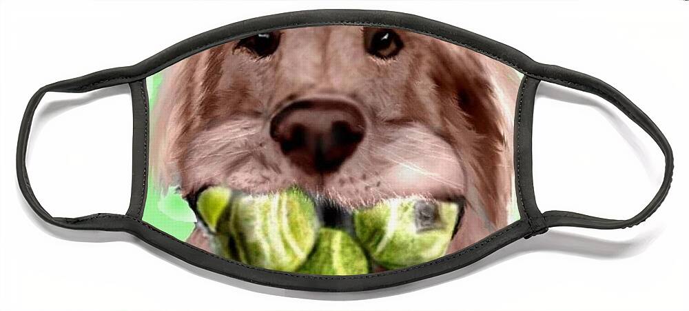 Golden Retriever Tennis Balls Fetching Fetch Funny Caricature Pencil Sketch Mixed Media Face Mask featuring the mixed media Nuts for Tennis by Pamela Calhoun