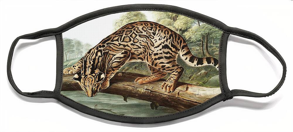 America Face Mask featuring the mixed media Ocelot. John Woodhouse Audubon Illustration by World Art Collective