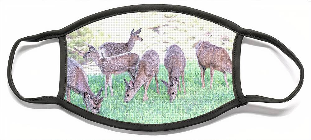 Deer Face Mask featuring the photograph Oh Deer by Jennifer Grossnickle
