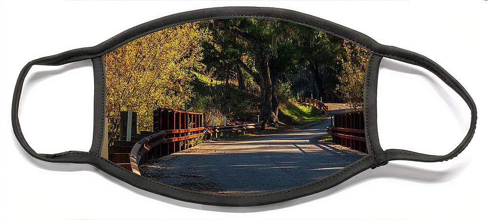 Tree Face Mask featuring the photograph Old Country Road by Ryan Huebel