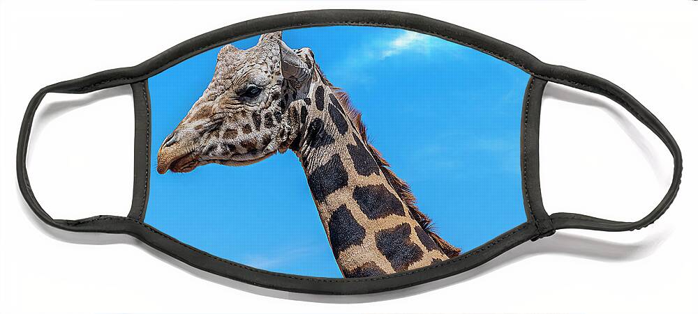  Face Mask featuring the photograph Old Giraffe by Al Judge