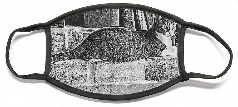 Cat; Kitty; Hearth; Fireplace; Books; Stone; Jail; New Orleans; Treme; Inn At The Old Jail; Litho; Black And White; Horizontal; Nostalgic; Vintage Face Mask featuring the digital art Old Jail Kitty in Black and White by Tina Uihlein