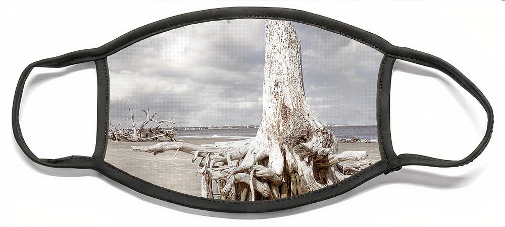 Clouds Face Mask featuring the photograph On Driftwood Beach at Low Tide in Beachhouse Hues by Debra and Dave Vanderlaan