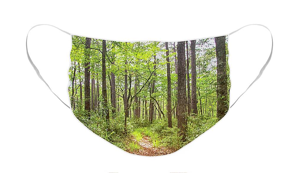 Trail Face Mask featuring the photograph On the Neusiok Trail in the Croatan by Bob Decker