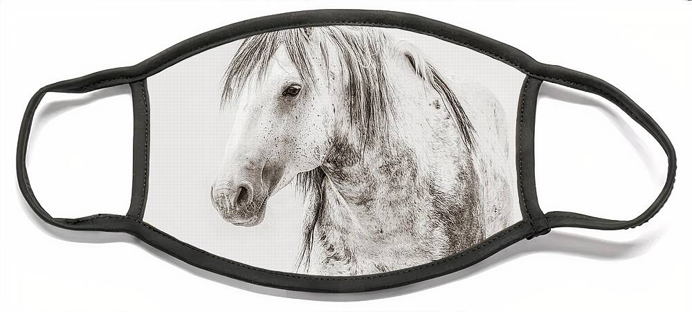 Stallion Face Mask featuring the photograph Onaqui Portrait by Lisa Manifold