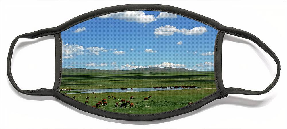 One Day Countryside Face Mask featuring the photograph One day Countryside by Elbegzaya Lkhagvasuren