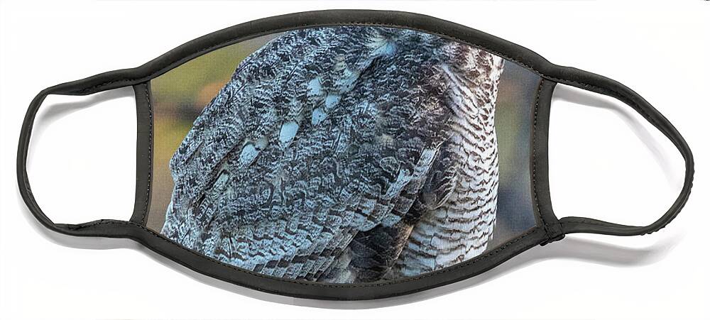 Great Horned Owl Face Mask featuring the photograph One Eyed Owl by Steve Templeton