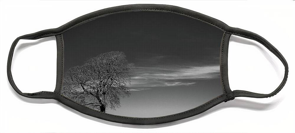 Britain Face Mask featuring the photograph One tree on the horizon landscape by Seeables Visual Arts