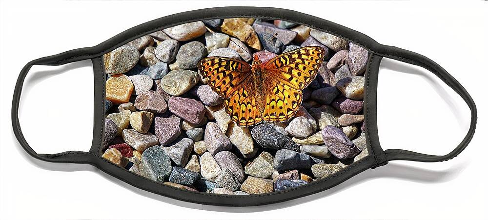 Butterflies Face Mask featuring the photograph Orange And Black Butterfly by David Desautel