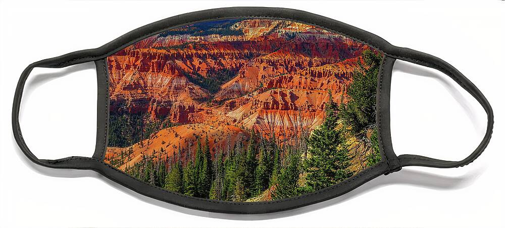 Landscape Face Mask featuring the photograph Orange Land by Seth Betterly
