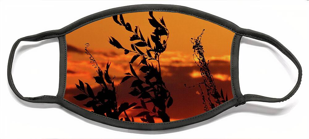 Sunset Face Mask featuring the photograph Orange Sunset Sky by Linda Stern