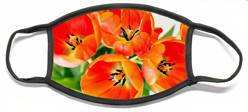 Tulips Face Mask featuring the photograph Orange Tulips by Manuela's Camera Obscura