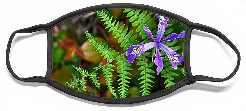 Fern Face Mask featuring the photograph Oregon Iris and Fern by Bonnie Bruno