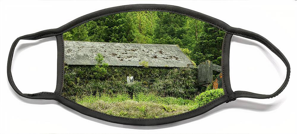 Old Face Mask featuring the photograph Overgrown by Denise Kopko