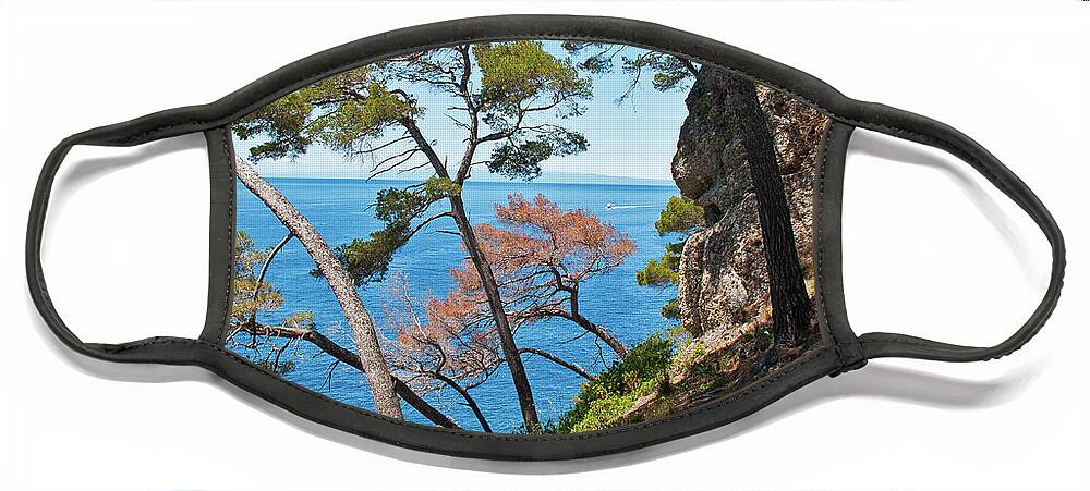 Trees Face Mask featuring the photograph Overlooking the Sea - Portofino, Italy by Denise Strahm