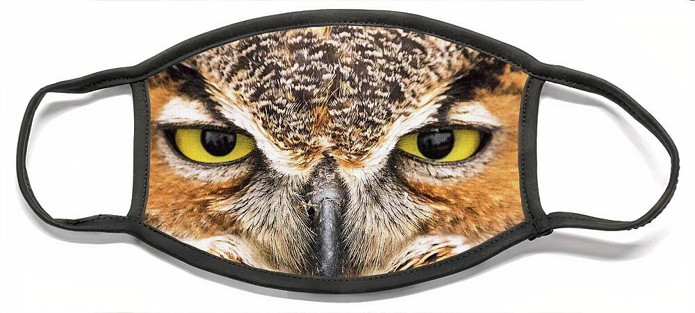Owl Face Mask featuring the photograph Owl Eyes by Ira Marcus