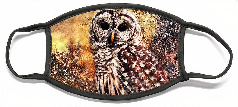 Photography Face Mask featuring the photograph Owl in Moonlight by Shara Abel