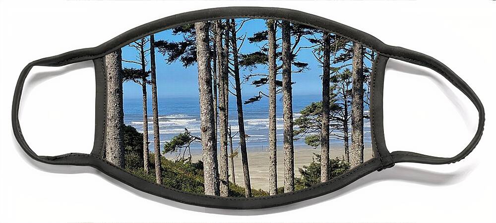 Beach Face Mask featuring the photograph Pacific Ocean at Seabrook 2 by Jerry Abbott