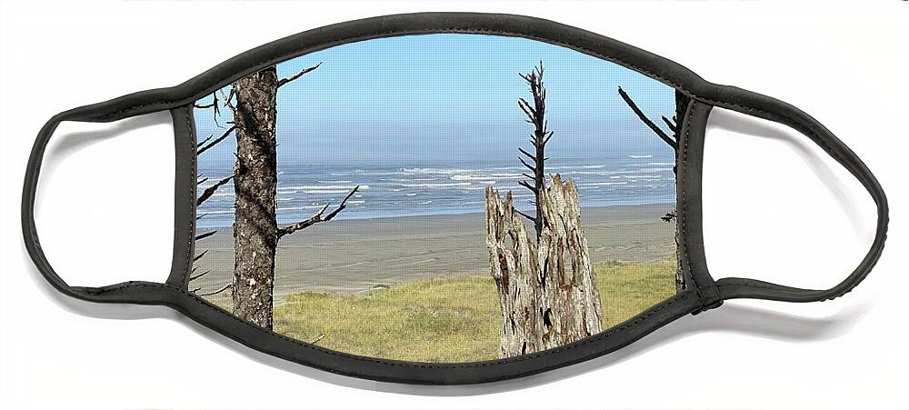 Beach Face Mask featuring the photograph Pacific Ocean at Seabrook by Jerry Abbott