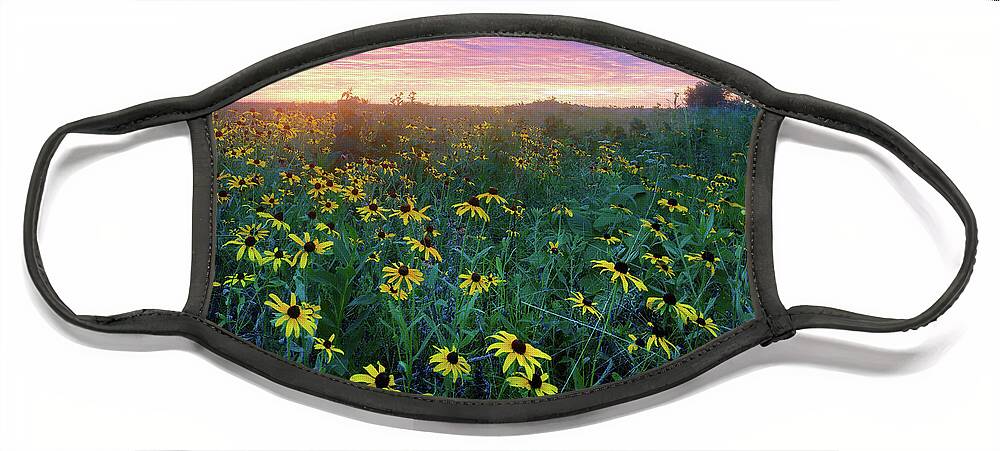 Conservation Area Face Mask featuring the photograph Paintbrush Prairie IV by Robert Charity