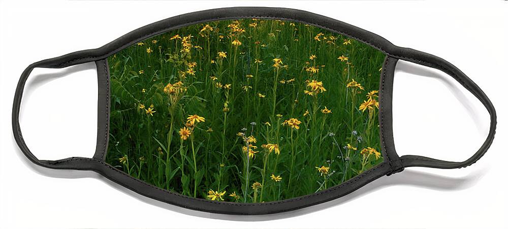 Wildflower Face Mask featuring the photograph Paintbrush Prairie V by Robert Charity