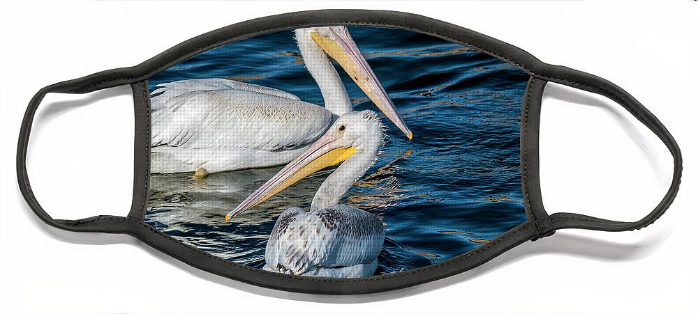 American White Pelicans Face Mask featuring the photograph Pair of American White Pelicans by Debra Martz
