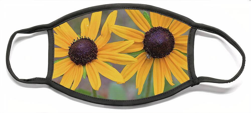 Flowers Face Mask featuring the photograph Pair of sunflowers by Bob Falcone